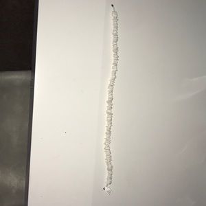 Ron Jon 18’’ Shell Necklace